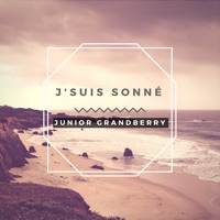 J'suis Sonné (feat. Kamal A La Prod) - Single - Junior Grandberry