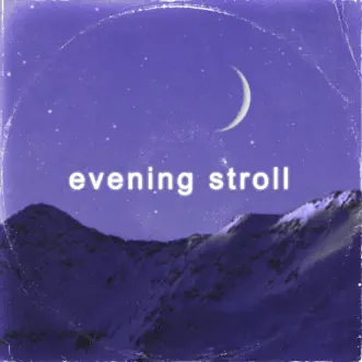 Evening Stroll - Single by Ngyn, kirito & Lofi Radiance album reviews, ratings, credits