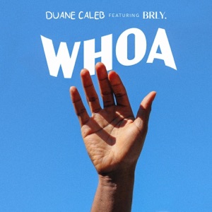 Whoa (feat. BRLY.) - Single