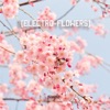 Electro-Flowers