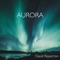 Spirit - David Ripperton lyrics
