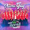 Pluma Gay