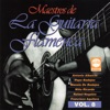 Maestros de la Guitarra Flamenca, Vol. 8