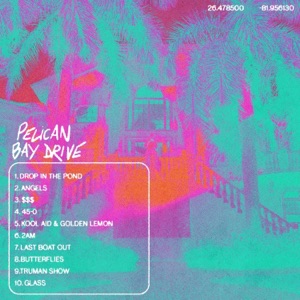 Pelican Bay Drive