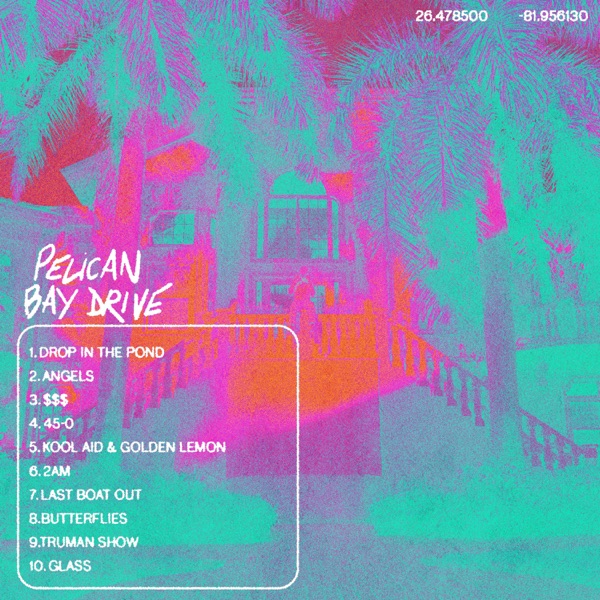 Pelican Bay Drive