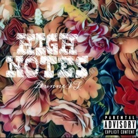 High Notes - Single - Dunneit