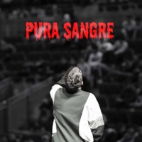 Pura Sangre - Single - Jado Pvg