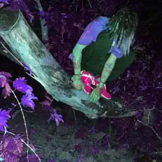 Packabowl Papiを聴いたり、ミュージックビデオを鑑賞したり、経歴やツアー日程などを確認したりしましょう！