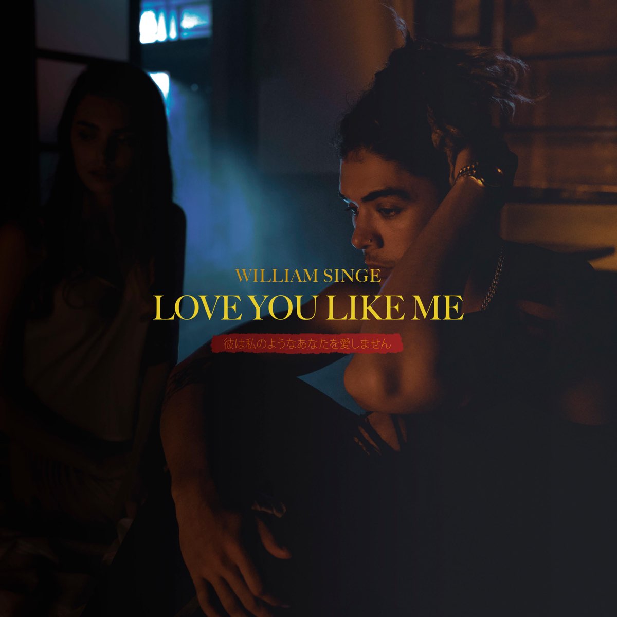 <b>Love</b> <b>You</b> <b>Like</b> Me - Single by William Singe on Apple Music.