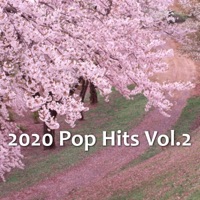 2020 Pop Hits Vol.2 - EP