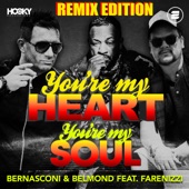 You're My Heart, You're My Soul (feat. Farenizzi) [Police Control Extended Remix] artwork