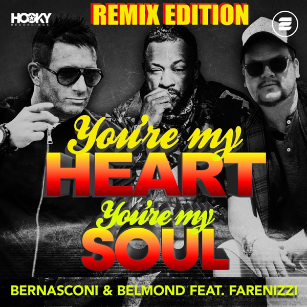 You're My Heart, You're My Soul (feat. Farenizzi) [Remix Edition]