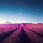 Endless Horizon artwork