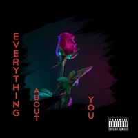 Everything About You (feat. Furbzz) - Single - Aleks James