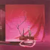 Sugar Candy Mountain - My Clown