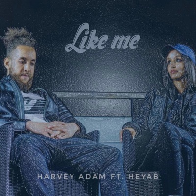 Like Me (feat. Heyab) - Single