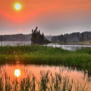 Nature Sounds for Sleep and Relaxation – Nature Sounds Crickets and Rain Loopable