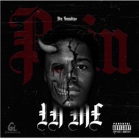 Pain in Me - Single - Dre Gambino