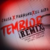 Temblor (Remix) - Single