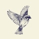 Early Bird Gets the Worm Single