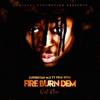 Fire Burn Dem (feat. Femi Koya) - Single
