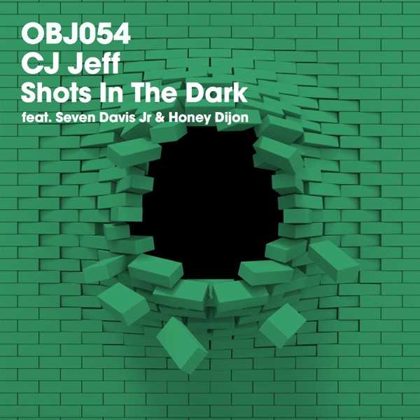 Shots in the Dark - Single