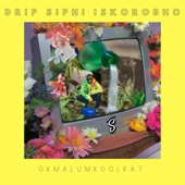 Drip Siphi Iskorobho artwork