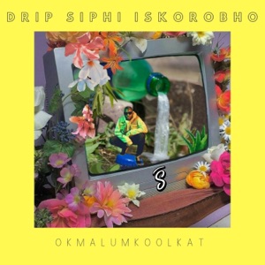 Drip Siphi Iskorobho - Single