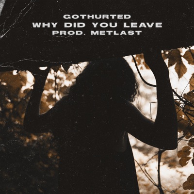 Why Did You Leave - Single