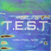 Can I Feel Now artwork