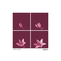 Bloom - Single - shallow pools