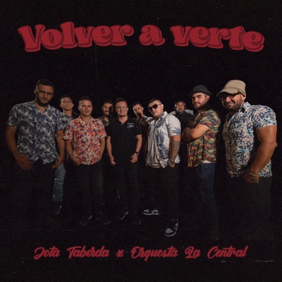 Volver a Verte - Single