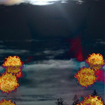 Oompa Loompa - Single