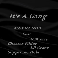 Mavhanda (feat. G Muzzy, Chester Filder, Lil Crazy & Suppreme Hela) - Single - It's a Gang