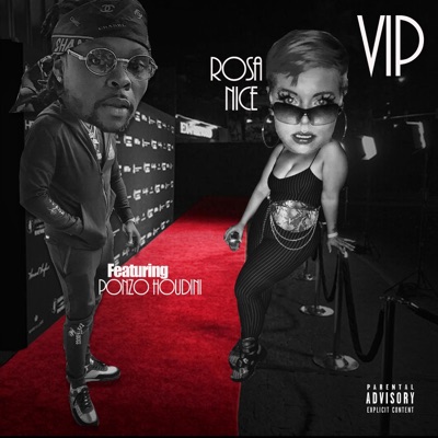 VIP (feat. Ponzo Houdini) [VIP] - Single