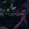 Sve zbog tebe (feat. Nucci) - Single