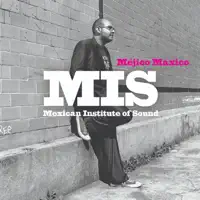 Bienvenidos a mi disco — Mexican Institute of Sound