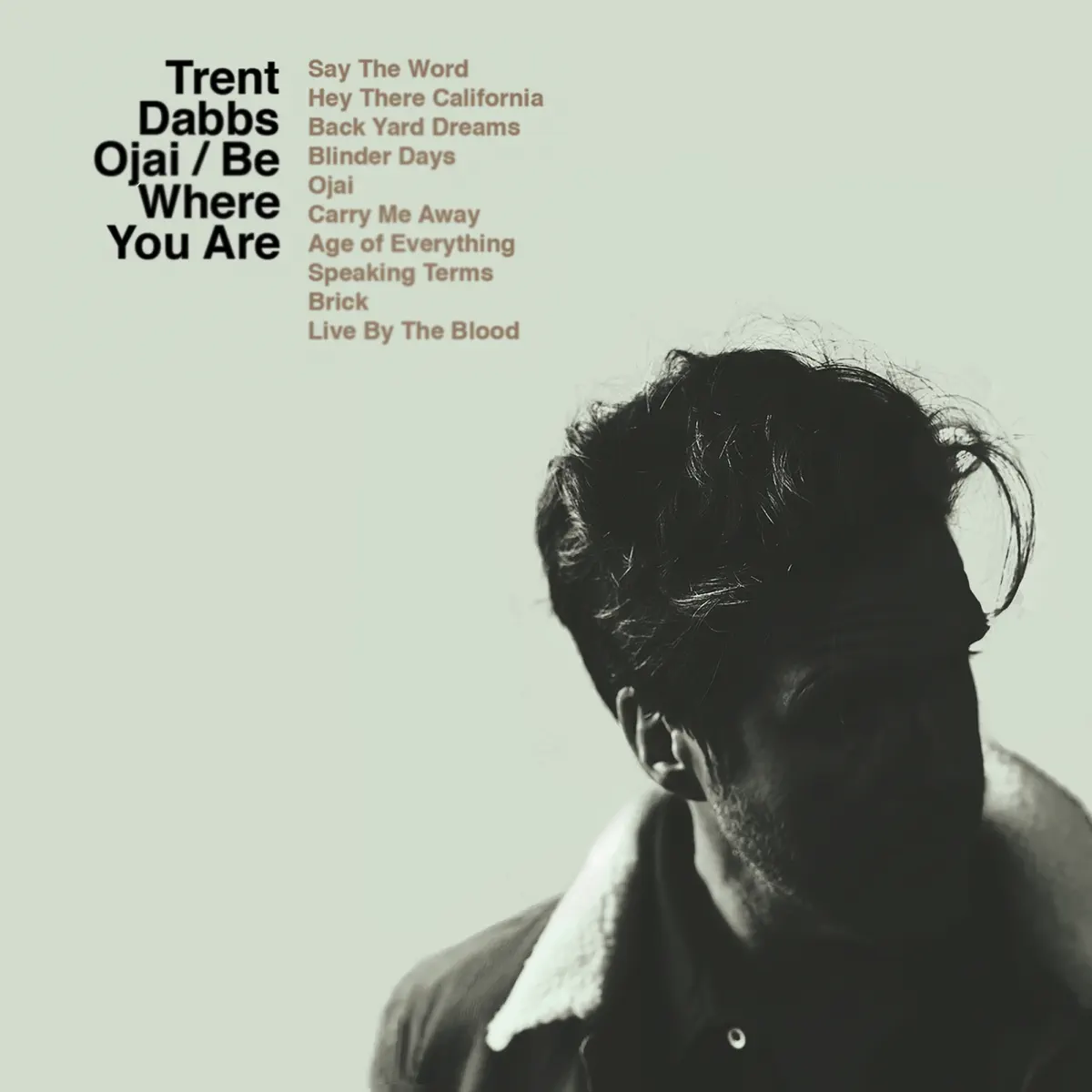 Trent Dabbs - Ojai / Be Where You Are (2023) [iTunes Plus AAC M4A]-新房子