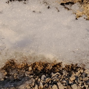 Speedbumps