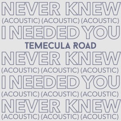 Never Knew I Needed You (Acoustic) - Single