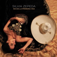 No Es la Primera Vez - Single - Silvia Zepeda
