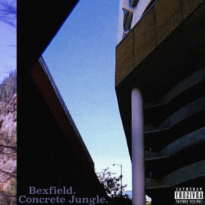 Concrete Jungle