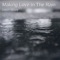 Making Love in the Rain artwork