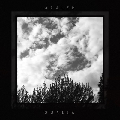 Qualia - Single