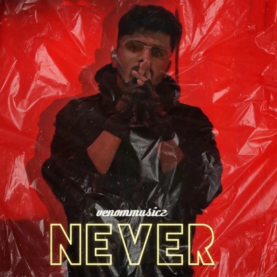 Never - Single