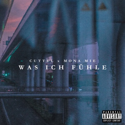 Was ich fühle - Single