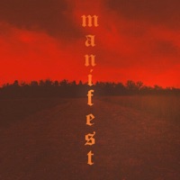 Album cover for Manifest by Shadow Figures