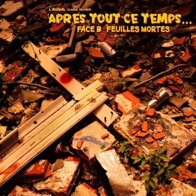 Après tout ce temps... Face B Feuilles mortes