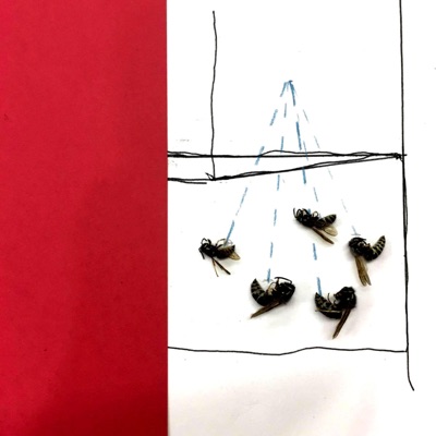 Varicose