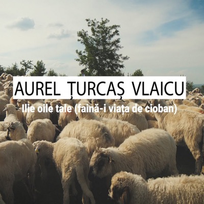 AUREL ŢURCAŞ VLAICU - Ilie Oile Tale (Faină-I Viața De Cioban)